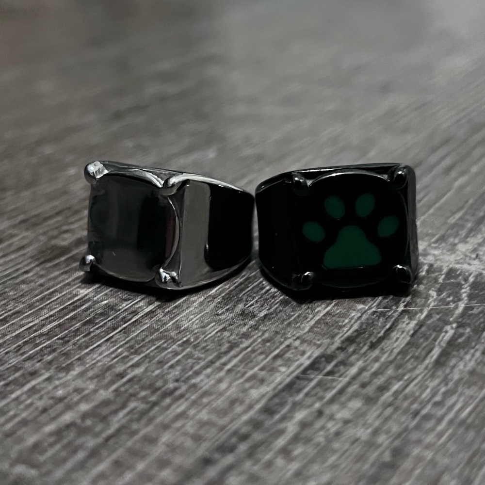 Cat Noir & Adrien Miraculous